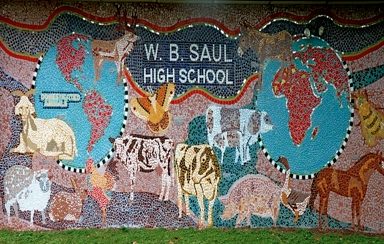 Walter B. Saul High School – The School District Of Philadelphia